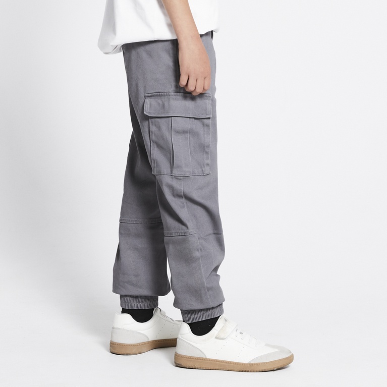 Cargo pants "Aurelius star" Grey